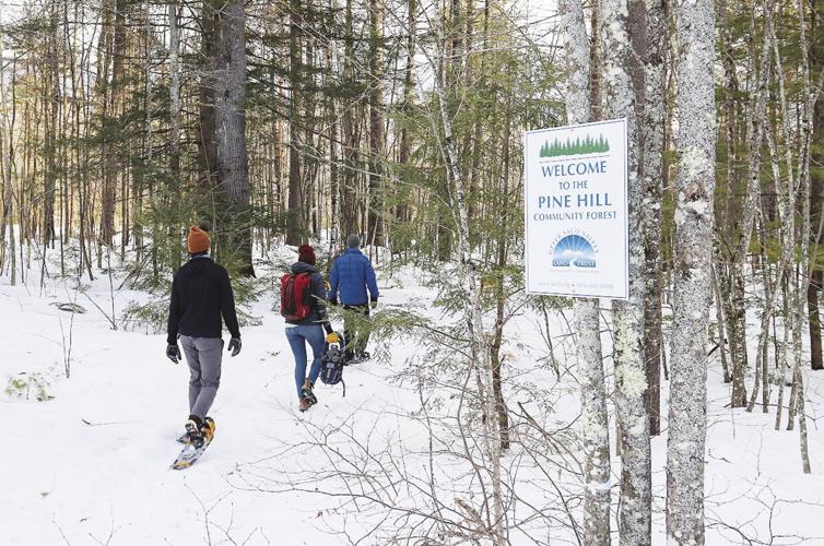 pine hill snowshoe