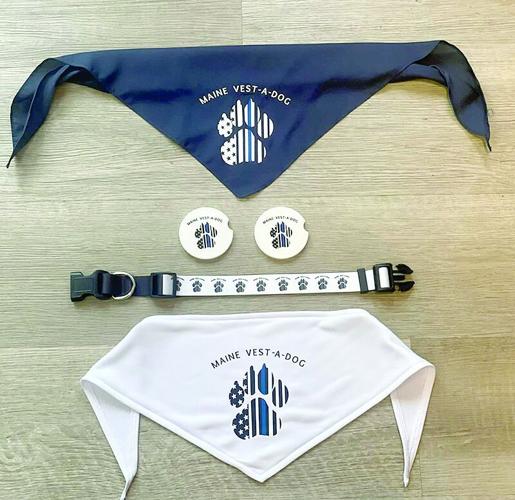 maine vest a dog