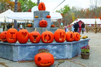 10-25-25 Halloween Town pumpkins