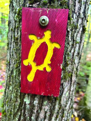 Hiking - turtle blaze on the Bald Ledge Trail
