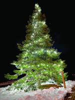 Tree Lighting in Sweden