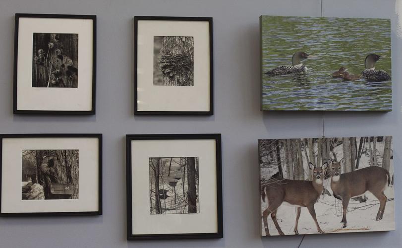 Brian Bresnahan art show