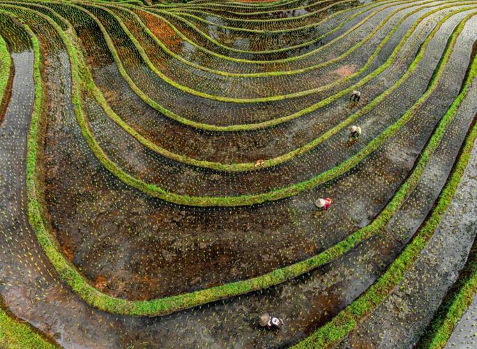1,500 entries as aerial photography awards name winners