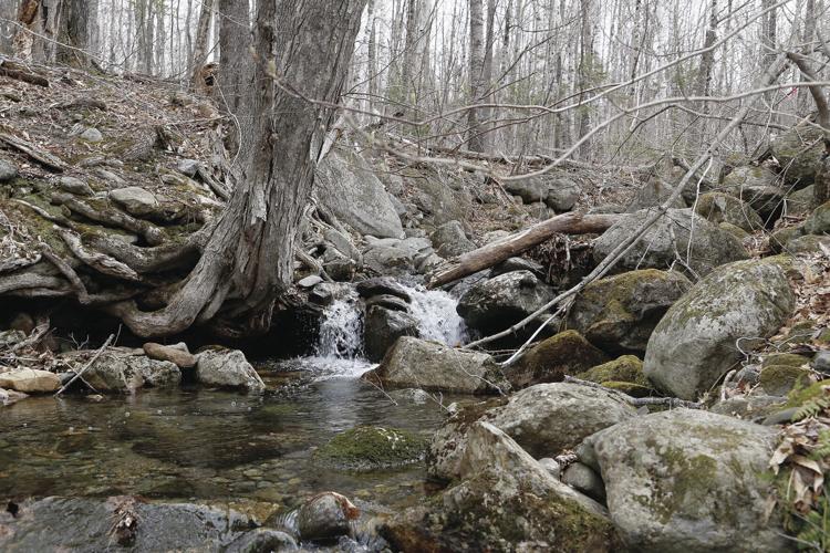 04-28-21 Dundee stream horizontal