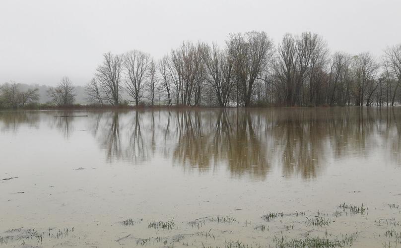 05-06-23 Flooding W Side S flooded field reflection