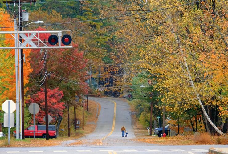 10-24-17 Foliage N Conway 3.jpg
