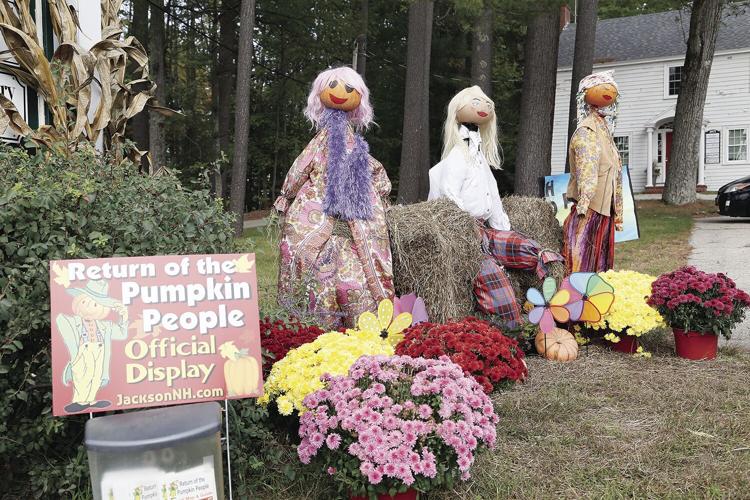 10-05-21 Pumpkins skin care medium