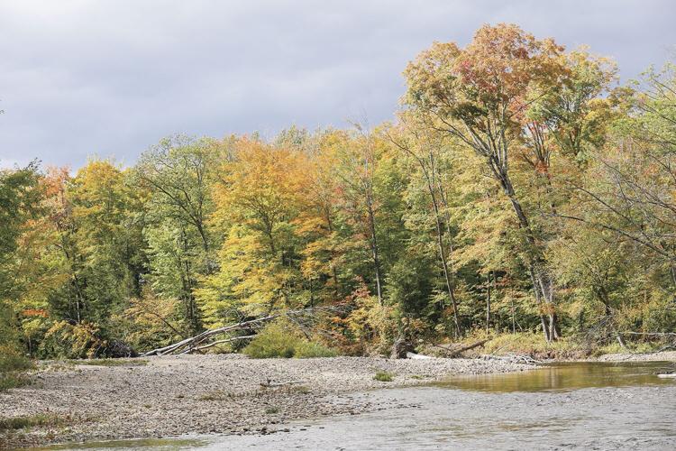 09-28-22 Foliage swift river wider