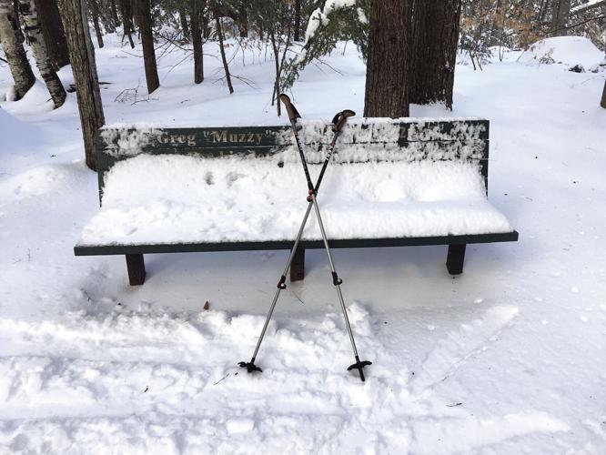 Nordic Tracks - Muzzy's Bench with ski poles