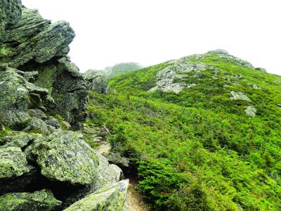 Hiking - Caps Ridge