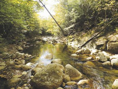 10-7-17 Parsons Maggie's Run