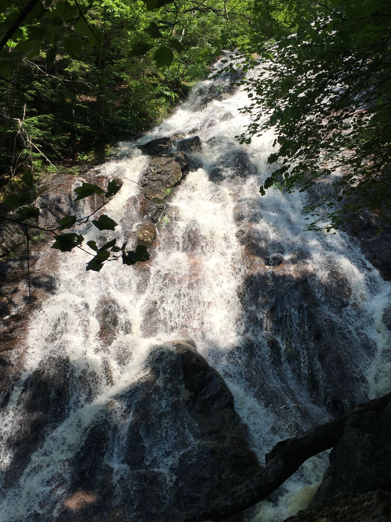 Giant Falls featured in Boston Globe