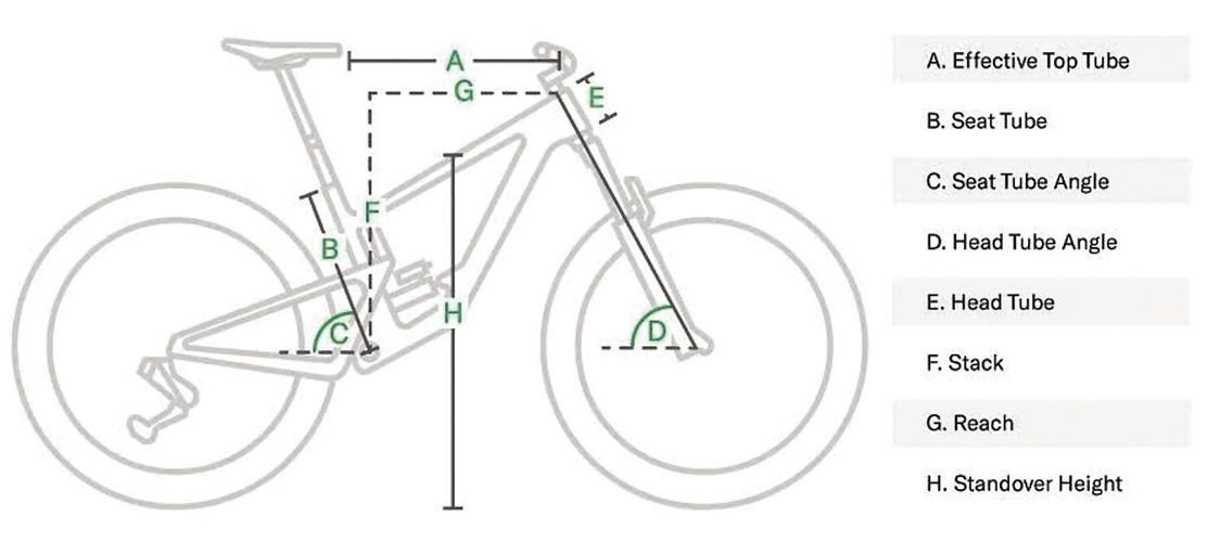 Wheel Family Fun - The True Beginner's Guide to Bicycle Sizing