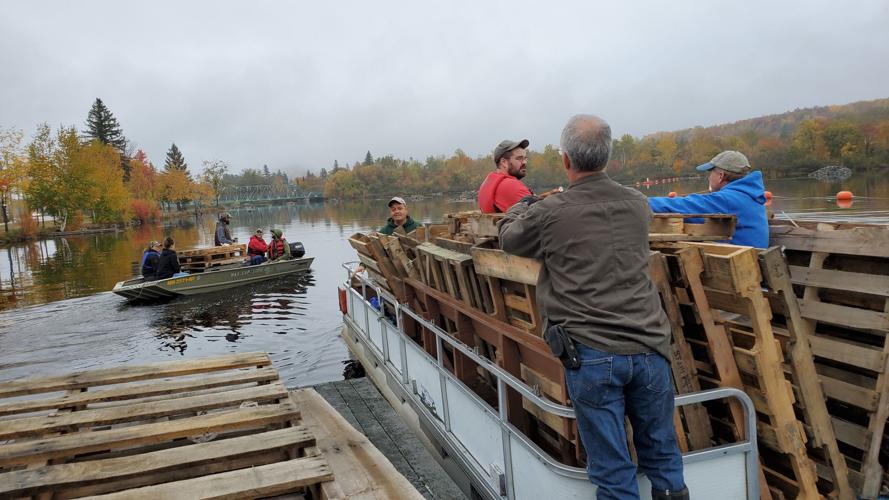 Pumpkins handed out - boom peer preparations