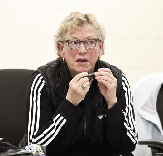 SAU 9 Board - makeup of the search committee - Susan Wiley