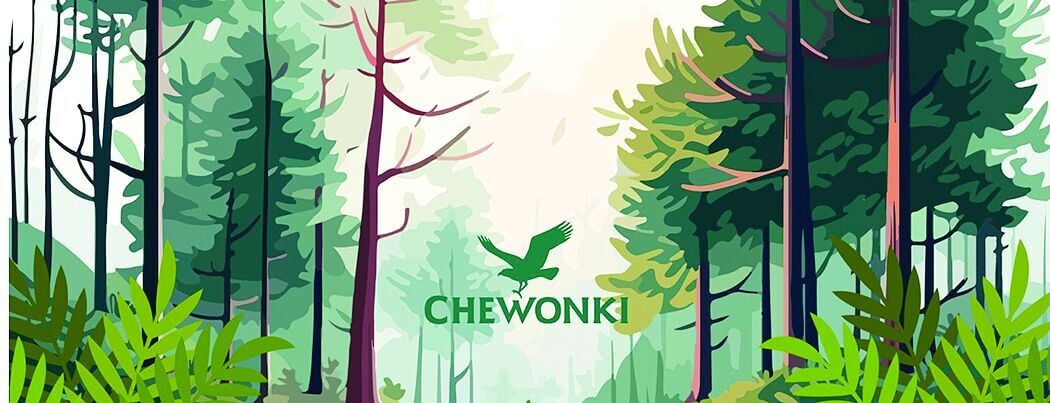 CL w32 dpl chewonki1