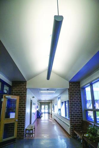 03-25-26 Pine Tree Lights outside office