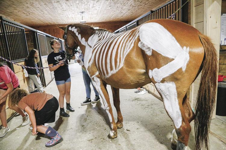 07-19-22 Vet Camp wide in barn