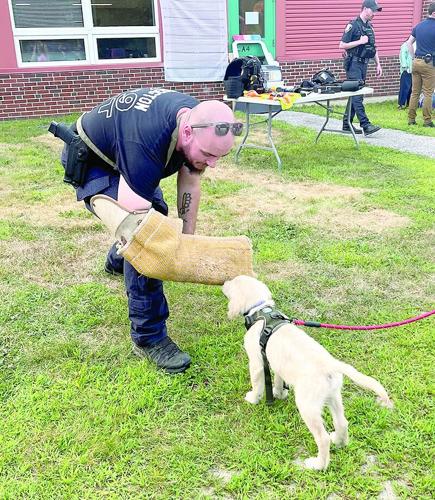 Incidents appearing on the Bridgton Police Department blotter Police