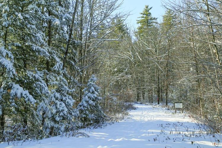 12-03-25 Snow wide marshall trail