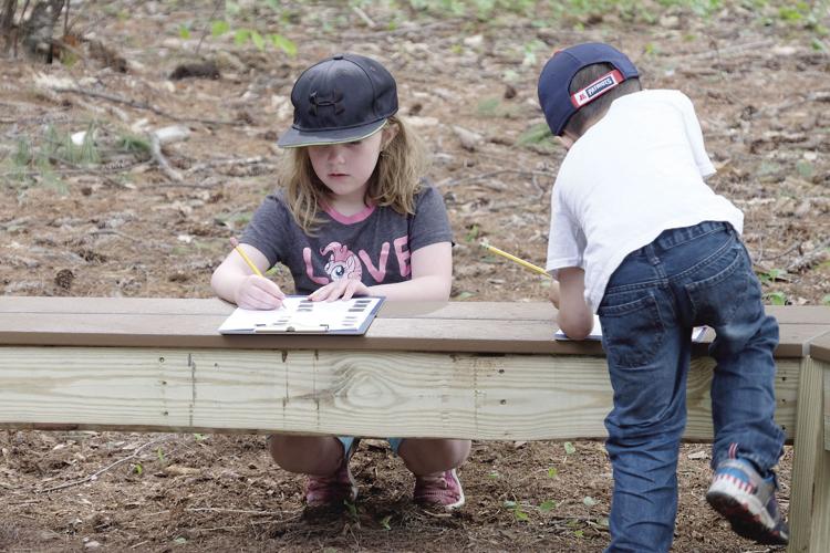 Outdoor classroom