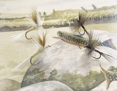 6-25-2022 North Country Angling-Light Cahills and Red Quills