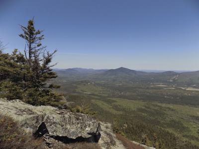 5-23-2020-Parsons-South Moat