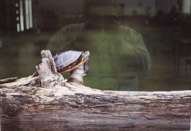 Brian Bresnahan’s nature photos