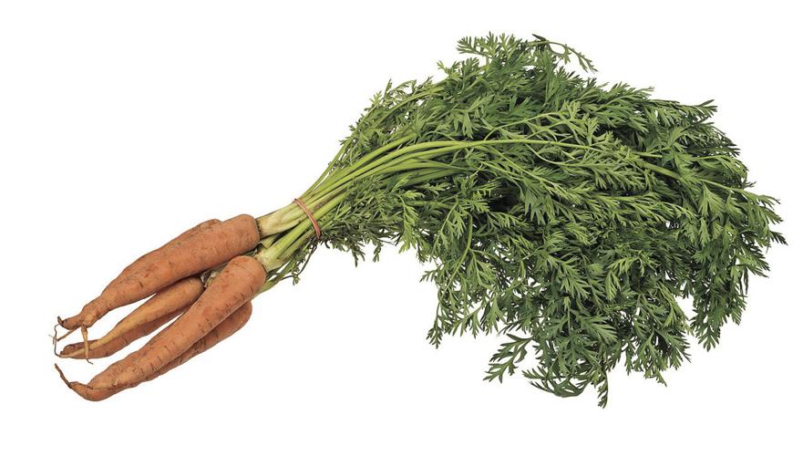 carrots