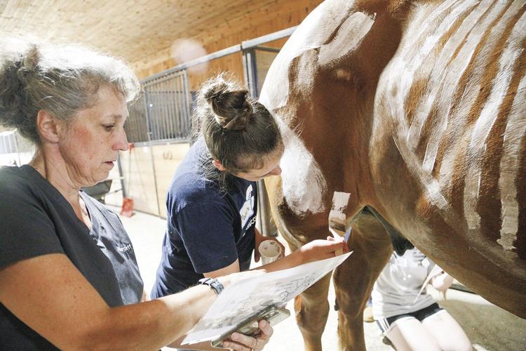 07-19-22 Vet Camp dr orff helping student