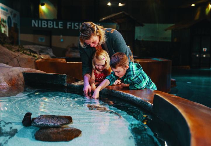 Photo_Shark Exhibit.jpg