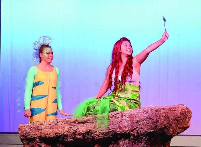 little mermaid2
