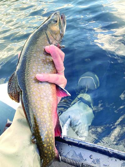 North Country Angling - big trout