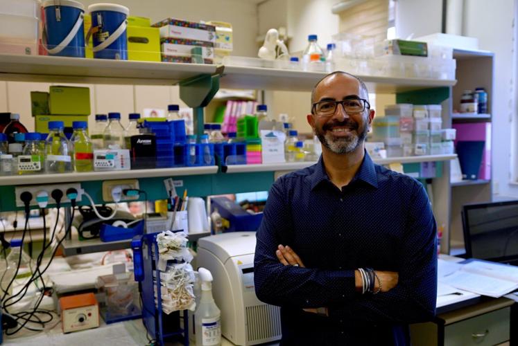 Cannabis compounds reduce threat of fatty liver disease, according to new research