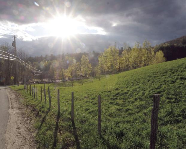 5-16-19 Spring Light.jpg