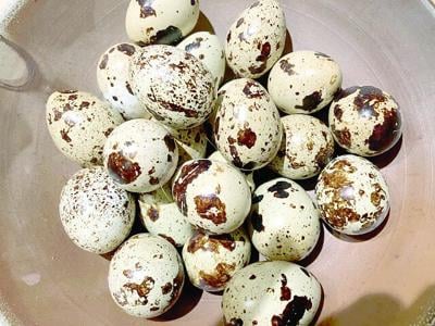 CL w9 bfm recipe photo