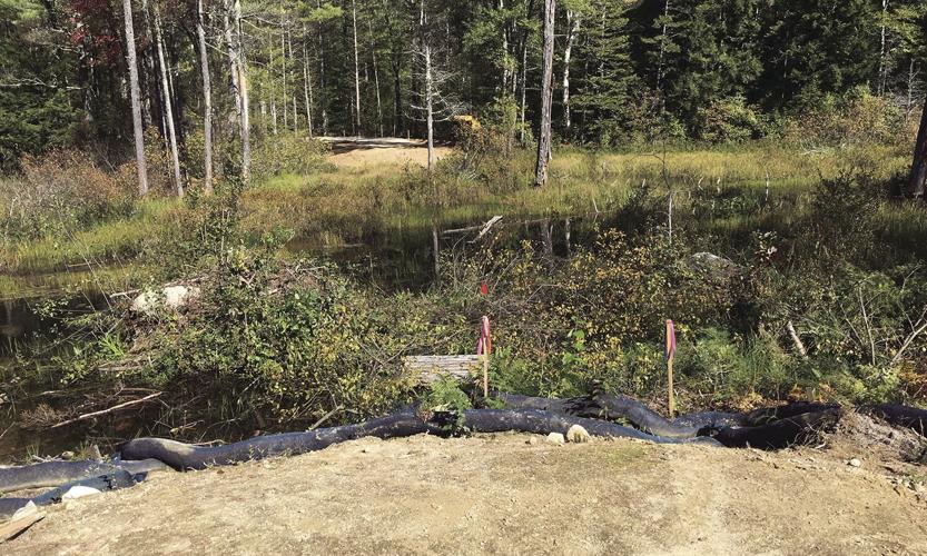 Wheel Family Fun - gap between the two sections of Conway Rec Path by Pudding Pond