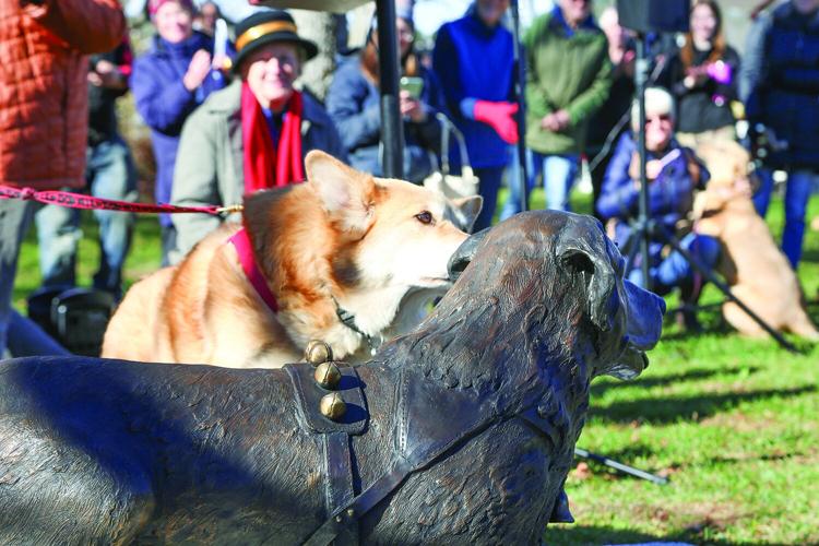 11-15-25 Chinook Statue dog sniffing tighter