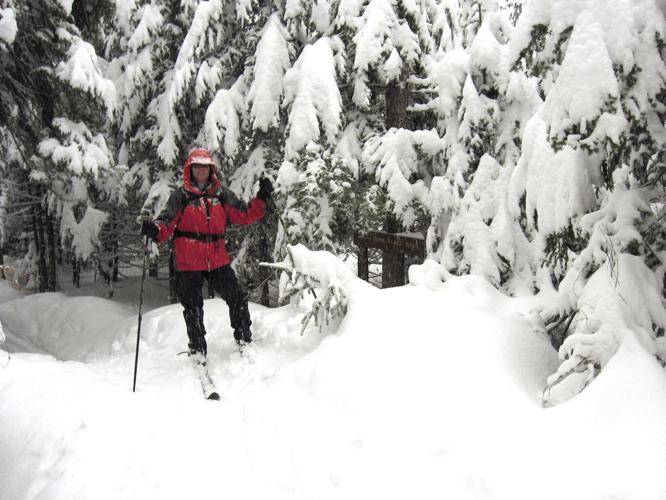 Nordic Tracks - ungroomed Wildcat Valley Trail