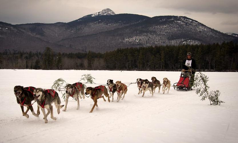 NewEnglandSledDogClub.jpg