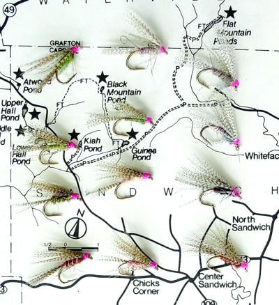 North Country Angling - The Major Woody