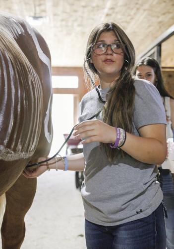 07-19-22 Vet Camp using stethoscope