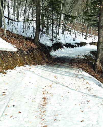 Nordic Tracks - bare spots on trails