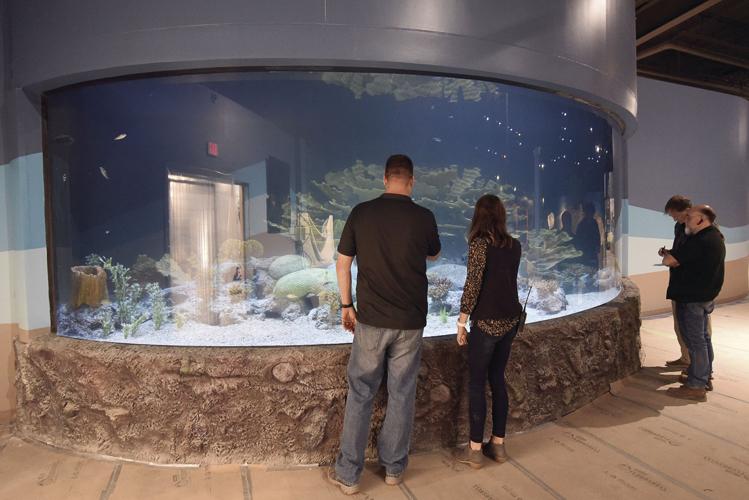 10-29-19 Living Shores