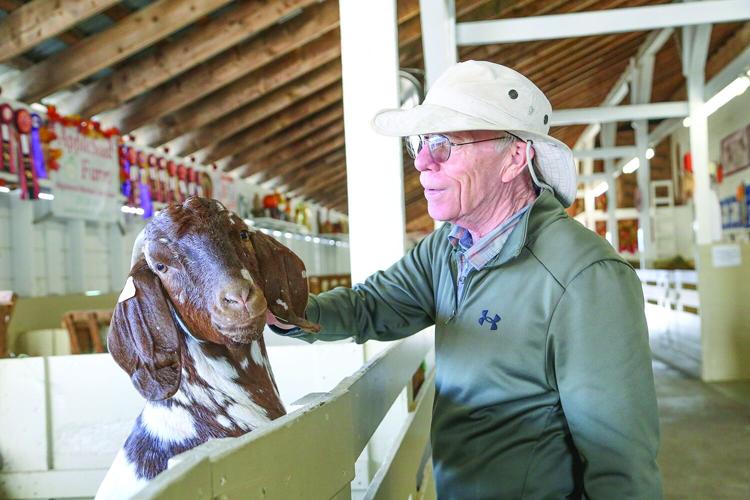 09-29-25 Fryeburg Fair goat pets medium