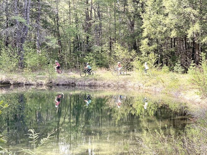 Wheel Family Fun - hidden pond in Whitaker Woods