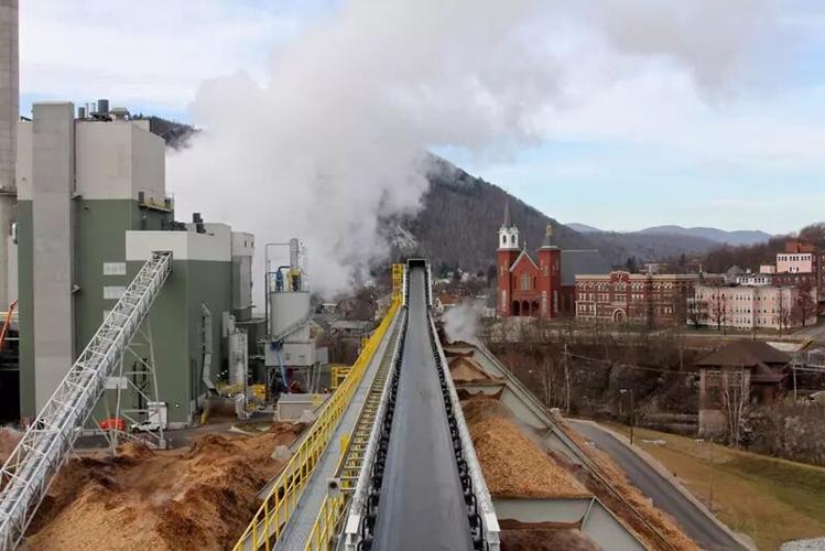 Future of Burgess BioPower in doubt