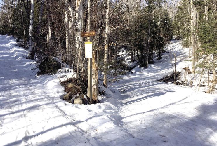 Nordic Tracks — East Pasture Loop