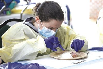 School to Career Camp - health camp