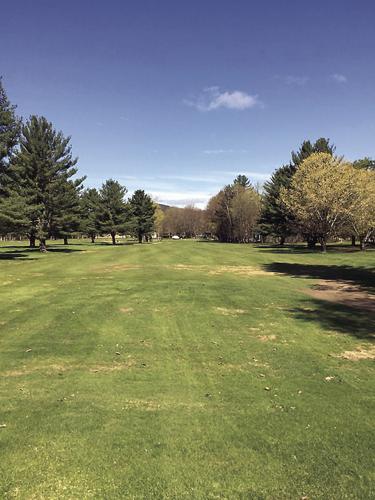 Golf Column